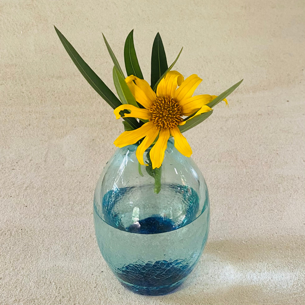 Blown glass - vase (20cm oval)